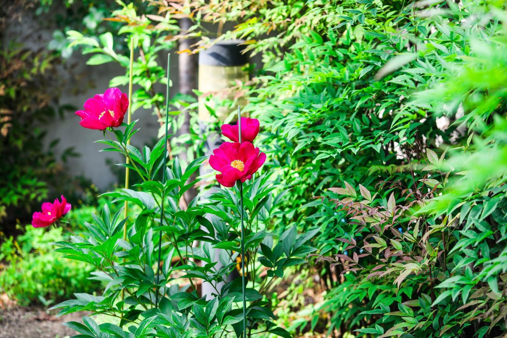 Haengok Guesthouse Jeonju Dış mekan fotoğraf